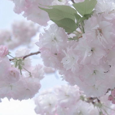 Furry色彩搭配实用技巧兽圈群